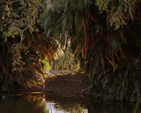 Mike Chalmers : portraits et paysages mike-chalmers-portraits-et-paysages-folkr-12