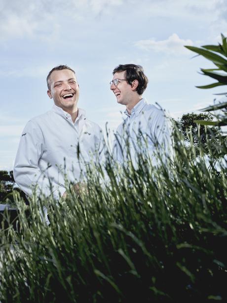 GREY GOOSE HABILLE SA BOUTEILLE AUX COULEURS DE L’ÉTÉ GREY GOOSE HABILLE SA BOUTEILLE AUX COULEURS DE L’ÉTÉ