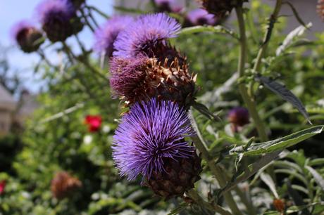 3 jours à la découverte des châteaux du Val-de-Loire… 3 jours à la découverte des châteaux du Val-de-Loire…