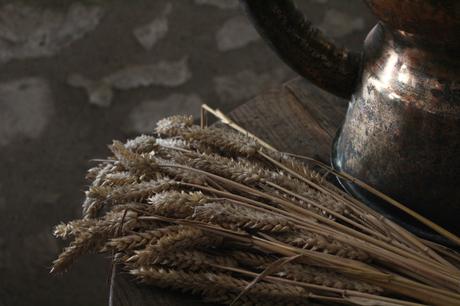 3 jours à la découverte des châteaux du Val-de-Loire… 3 jours à la découverte des châteaux du Val-de-Loire…