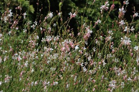 3 jours à la découverte des châteaux du Val-de-Loire… 3 jours à la découverte des châteaux du Val-de-Loire…