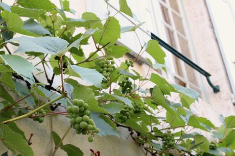 3 jours à la découverte des châteaux du Val-de-Loire… 3 jours à la découverte des châteaux du Val-de-Loire…