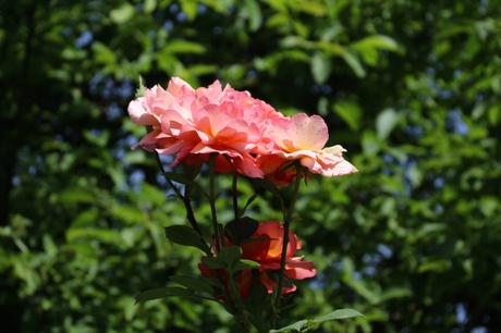 3 jours à la découverte des châteaux du Val-de-Loire… 3 jours à la découverte des châteaux du Val-de-Loire…
