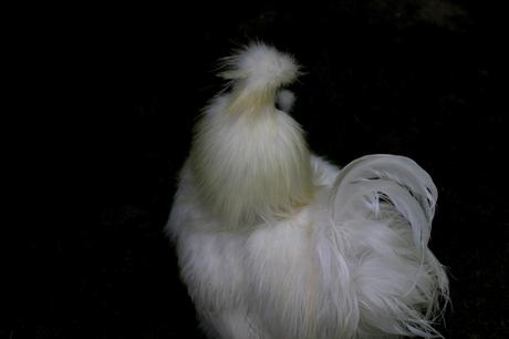 3 jours à la découverte des châteaux du Val-de-Loire… 3 jours à la découverte des châteaux du Val-de-Loire…