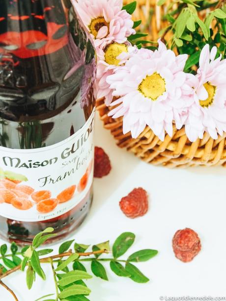 Glaçe maison Faible en Calories mais savoureuse Glaçe maison Faible en Calories mais savoureuse