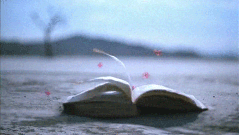 Pages Image associée