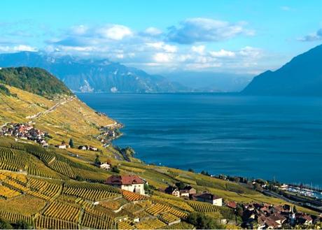 Culture du vin en Suisse
