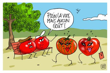 Tomates de jardin...