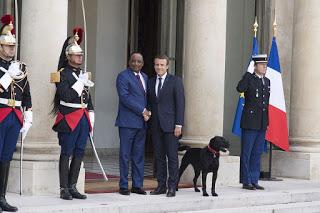 Macron, l'ami des bêtes.