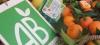 Ecran Vert : un Festival du film éco-citoyen en Charente-Maritime en septembre L'agriculture biologique poursuit sa croissance spectaculaire en France