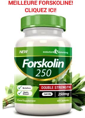 FORSKOLIN ◊ Produit miracle ou arnaque? Avis complet!