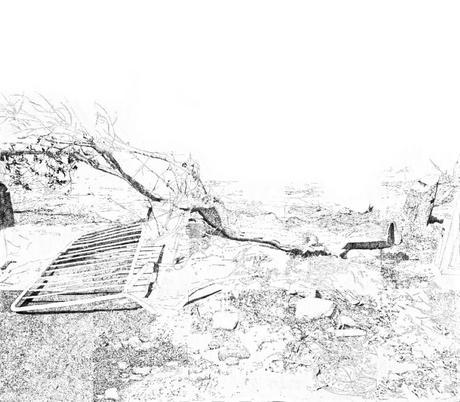Montpellier – Exposition Patricia Stheeman « Dessins Off » du 9 septembre au 5 novembre Montpellier – Exposition Patricia Stheeman « Dessins Off » du 9 septembre au 5 novembre