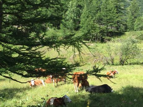 Verbier : nos vacances en famille à la montagne Verbier : nos vacances en famille à la montagne