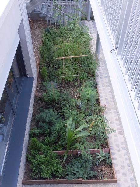 A Montreuil, un foyer en habitat social et solidaire 7p