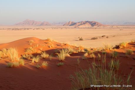 LE DESERT DU NAMIB : UN JOYAU ENTRE CIEL ET MER