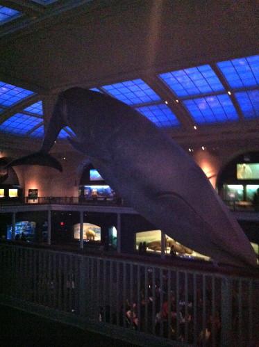 Visiter l'American Museum of Natural History New York Visiter l'American Museum of Natural History New York
