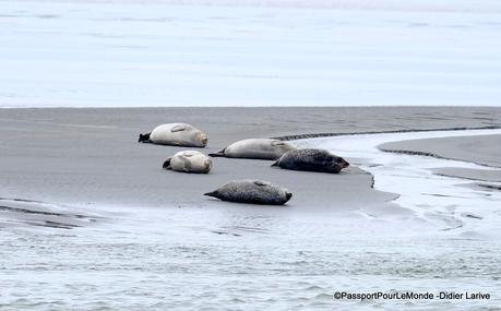 10 IDEES POUR UN GRAND WEEKEND EN BAIE DE SOMME