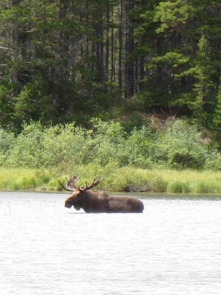 Trois semaines dans l’Ouest canadien en échange de maisons Trois semaines dans l’Ouest canadien en échange de maisons
