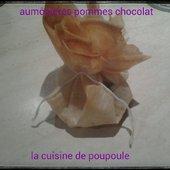 Âumônière pommes chocolat - La cuisine de poupoule