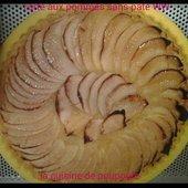Tarte aux pommes sans pâte WW au thermomix - La cuisine de poupoule