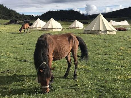 Glamping dans le Yunnan avec La Caravane Liotard