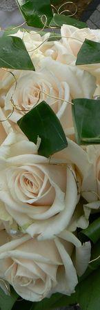 Que du bonheur ! P1080708