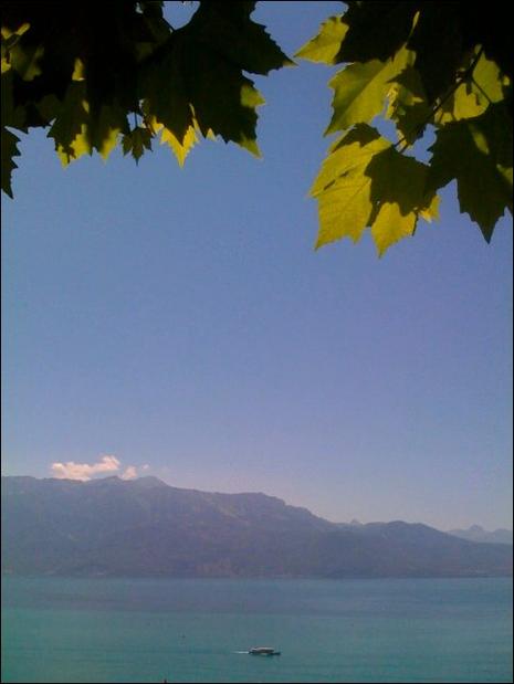 Du Moléson au lac Léman (balade) Du Moléson au lac Léman (balade)