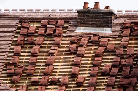 Licence obsessionnelle. toiture.1214978831.jpg