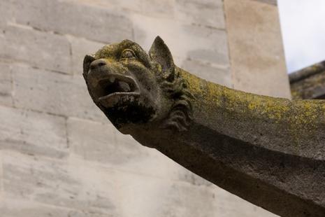 Licence obsessionnelle. gargouille-2.1214945450.jpg