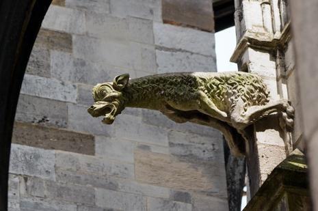 Licence obsessionnelle. gargouille-1.1214977195.jpg