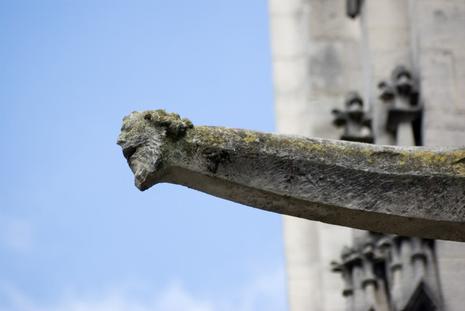 Licence obsessionnelle. gargouille-4.1214977107.jpg