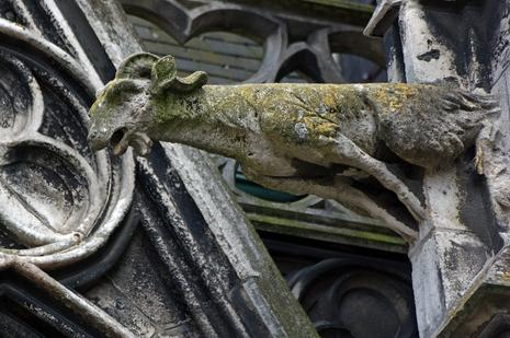 Licence obsessionnelle. gargouille-7.1214976951.jpg