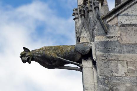 Licence obsessionnelle. gargouille-3.1214977362.jpg