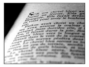 Un site pour les bibliothèques municipales Un site pour les bibliothèques municipales