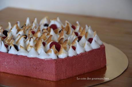 Entremet léger 100% fruits rouges