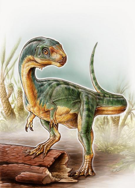 chilesaurus-dinosaur.jpg