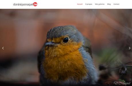 16 sites internet de photographes animaliers (mais pas que)