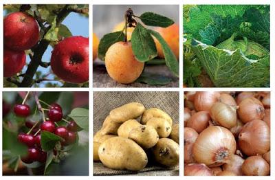 La filière fruits et légumes du Grand Est : une qualité à préserver, un dynamisme à encourager