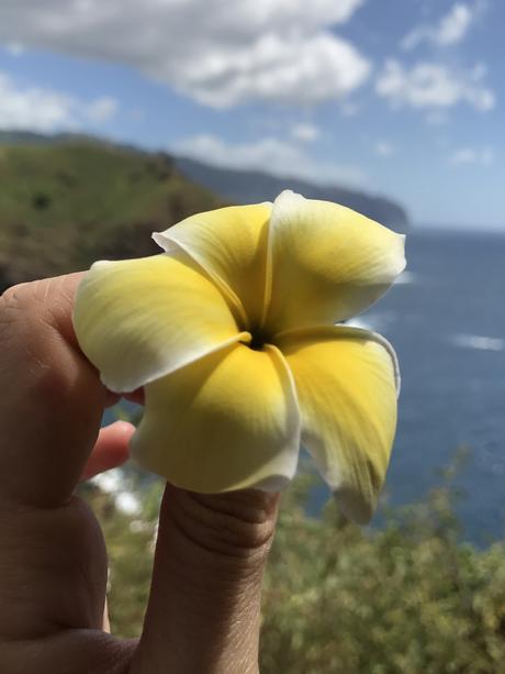- ♥ Hiva Oa - Les îles Marquises ♥- - # La Polynésie Française # - DREAM & FOOD TRAVEL GUIDE - ♥ Hiva Oa - Les îles Marquises ♥- - # La Polynésie Française # - DREAM & FOOD TRAVEL GUIDE