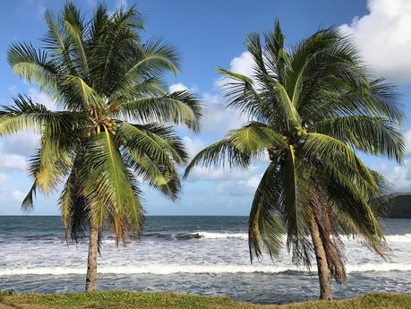 - ♥ Hiva Oa - Les îles Marquises ♥- - # La Polynésie Française # - DREAM & FOOD TRAVEL GUIDE - ♥ Hiva Oa - Les îles Marquises ♥- - # La Polynésie Française # - DREAM & FOOD TRAVEL GUIDE