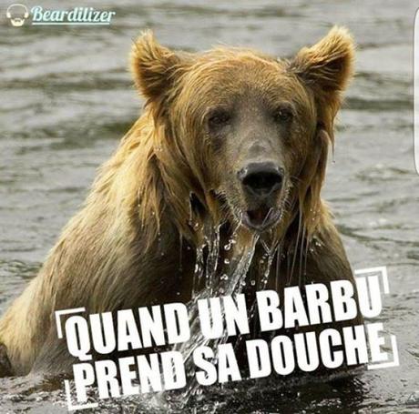 Sea, sex and beard ! Les barbus ont du sex-appeal Sea, sex and beard ! Les barbus ont du sex-appeal