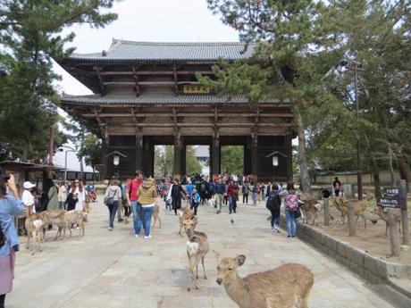 Voyage au Japon : une balade à Nara Voyage au Japon : une balade à Nara