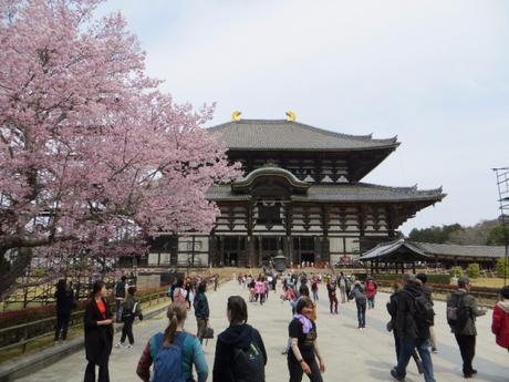 Voyage au Japon : une balade à Nara Voyage au Japon : une balade à Nara