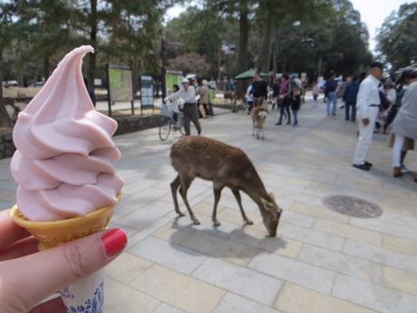 Voyage au Japon : une balade à Nara Voyage au Japon : une balade à Nara