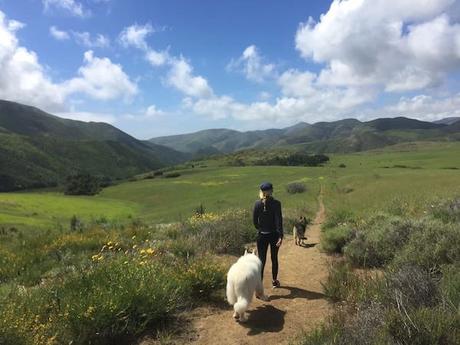 Airbnb : Dream Airstream à Malibu c5f3dce4-c028-45bb-939c-46f89730e0a9