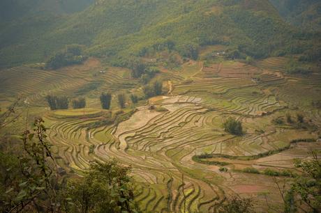 Carnet de voyage VIETNAM Part I (Hanoi & Sapa) Carnet de voyage VIETNAM Part I (Hanoi & Sapa)