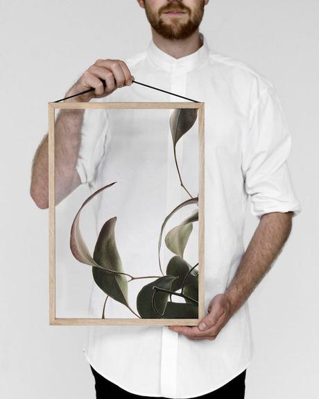 GREEN : Ethereal Floating Leaves Project floating-leaves-by-moebe-8