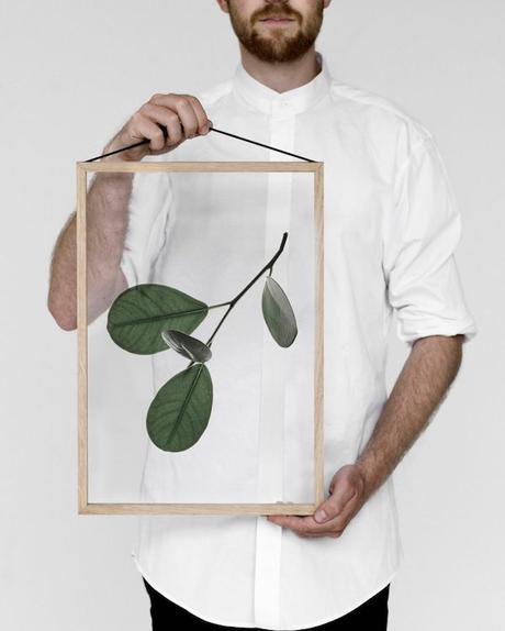 GREEN : Ethereal Floating Leaves Project floating-leaves-by-moebe-7