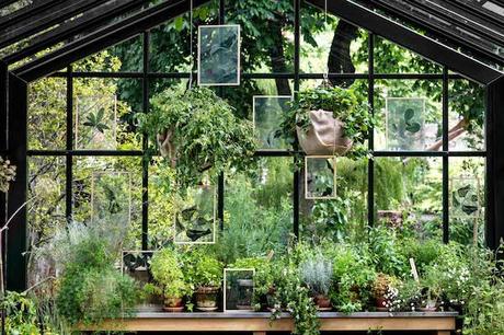 GREEN : Ethereal Floating Leaves Project floating-leaves-by-moebe-9