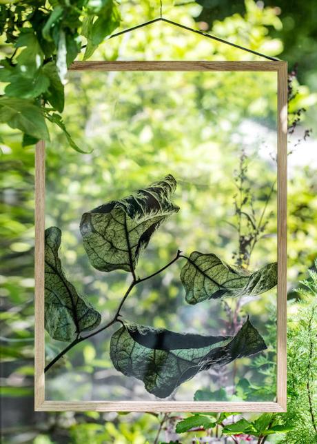 GREEN : Ethereal Floating Leaves Project floating-leaves-by-moebe-5